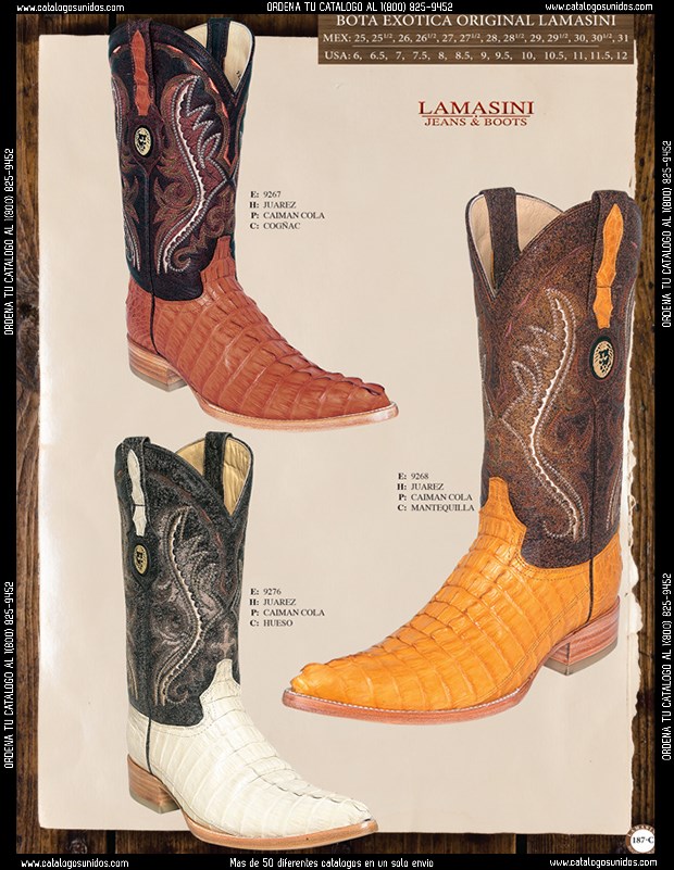Lamasini_2015_187