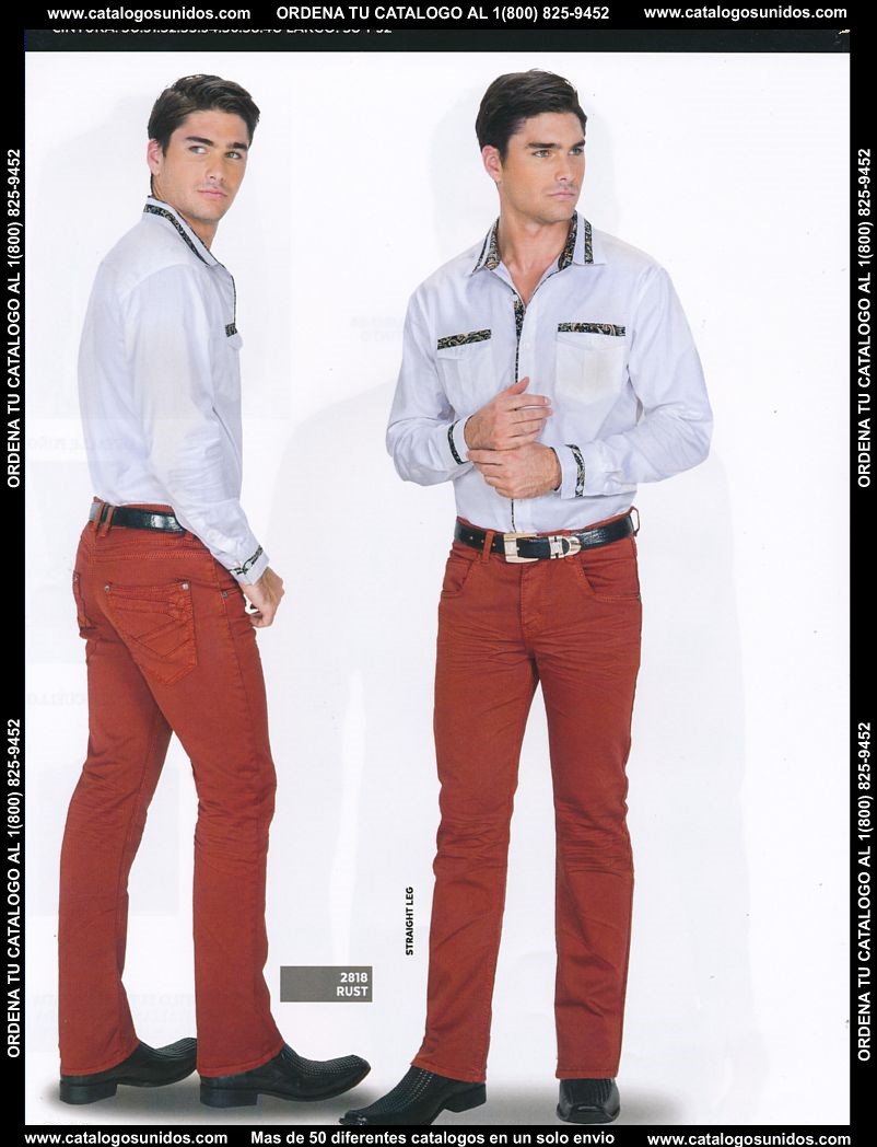 Lamasini_OI_2015_2016_076