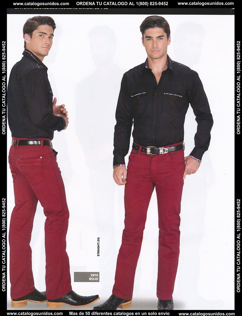 Lamasini_OI_2015_2016_078