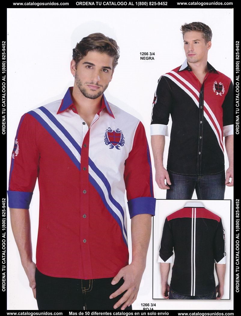 Lamasini_OI_2015_2016_195