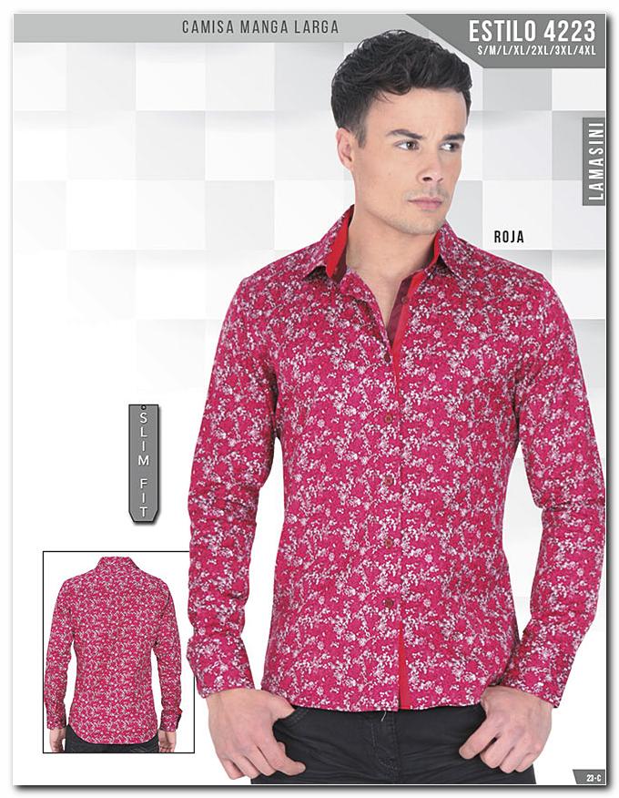 Ver Catalogo