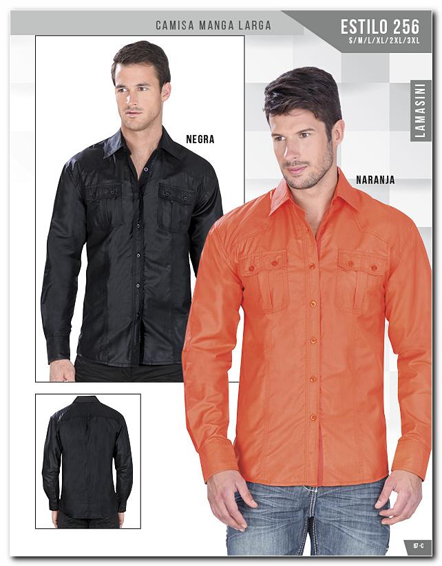 Ver Catalogo